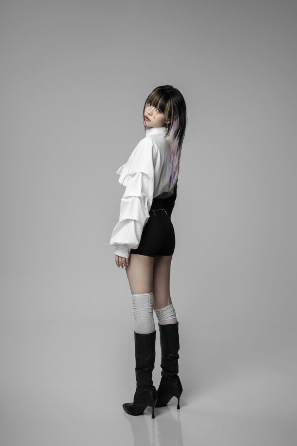Stand-Up Collar Top - Image 4