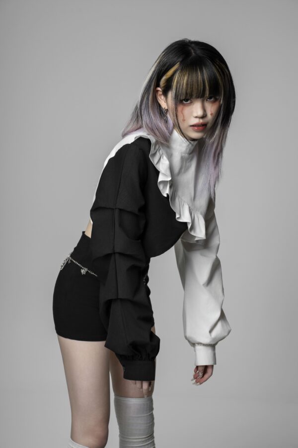 Stand-Up Collar Top - Image 5
